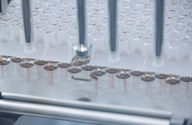 As We Make The Better Cake: Controlled Nucleation Offers The Best In-Batch Homogeneity And Batch Consistency For Freeze Dried Products