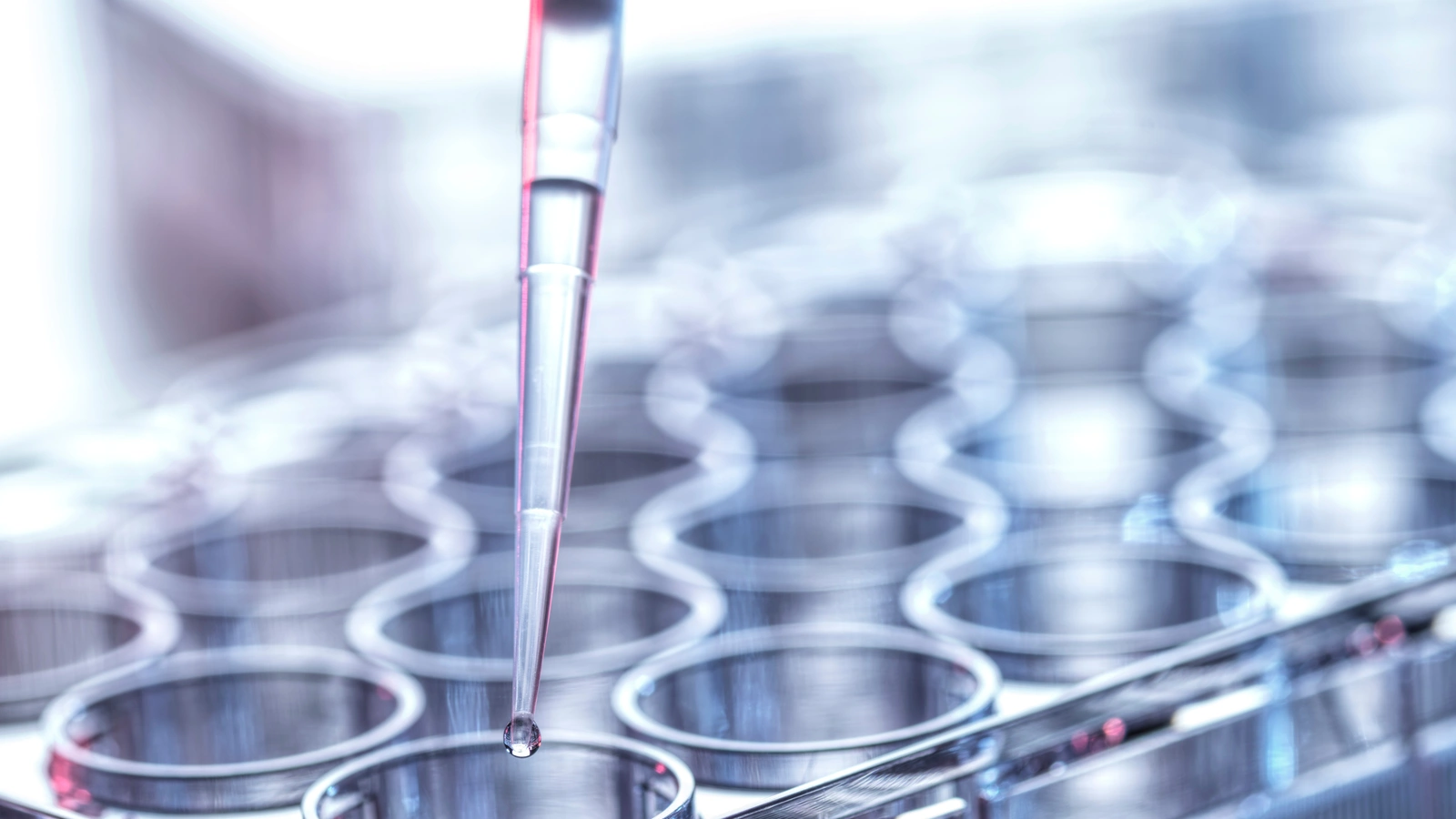UGN-103: medac CDMO Enables Clinical Progress in Phase 3 UTOPIA Trial for recurrent LG-IR-NMIBC