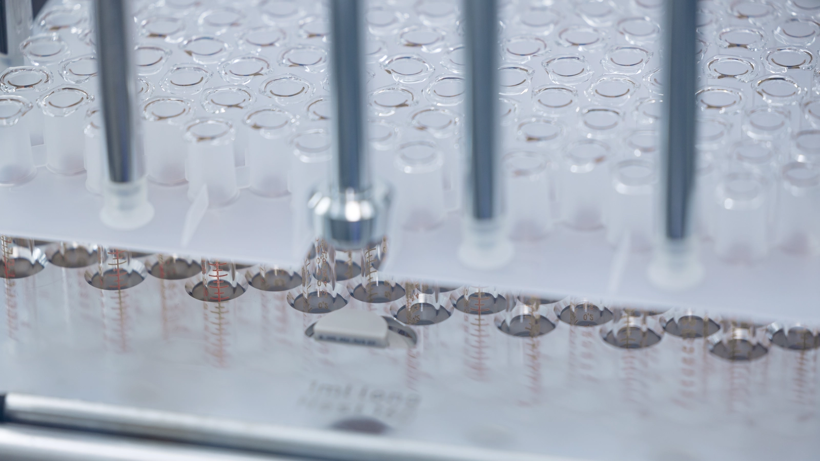 As We Make The Better Cake: Controlled Nucleation Offers The Best In-Batch Homogeneity And Batch Consistency For Freeze Dried Products